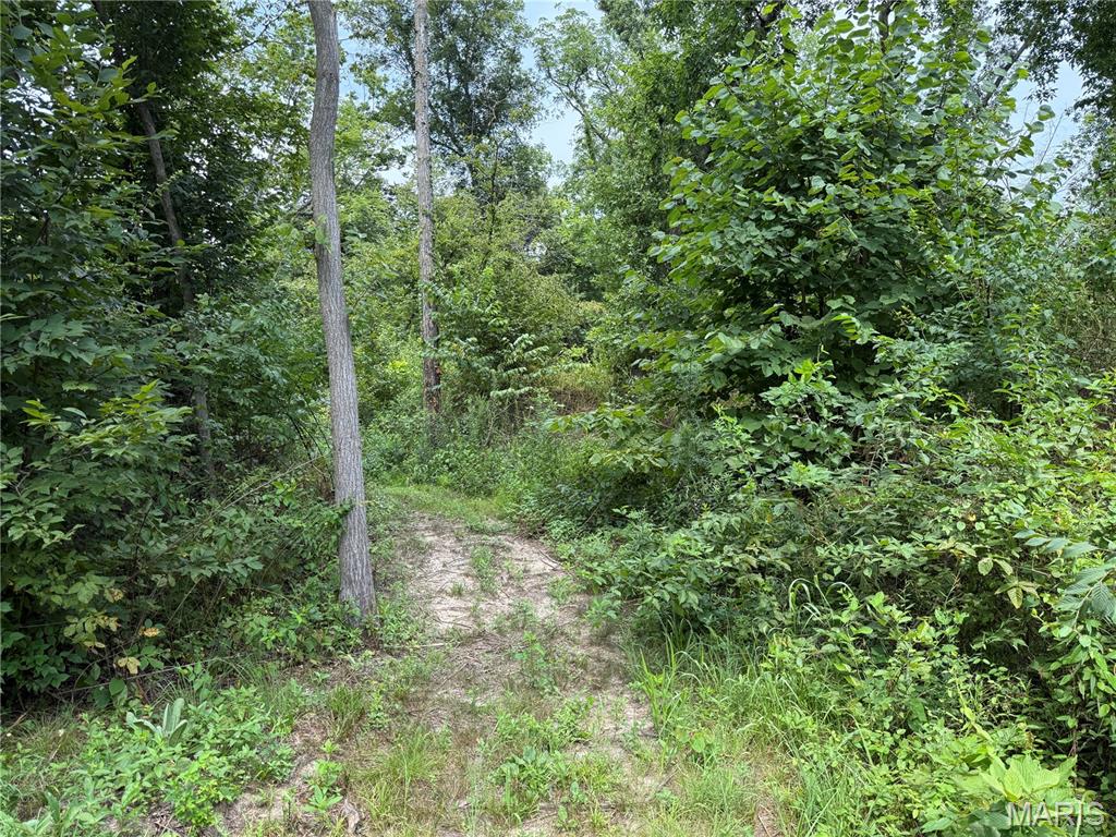 0 Hug Cemetery Road Pocahontas, IL 62275 - Photo 20 of 20