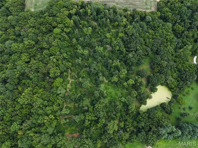 $206,615 | 0 Hug Cemetery Road, Pocahontas, IL 62275