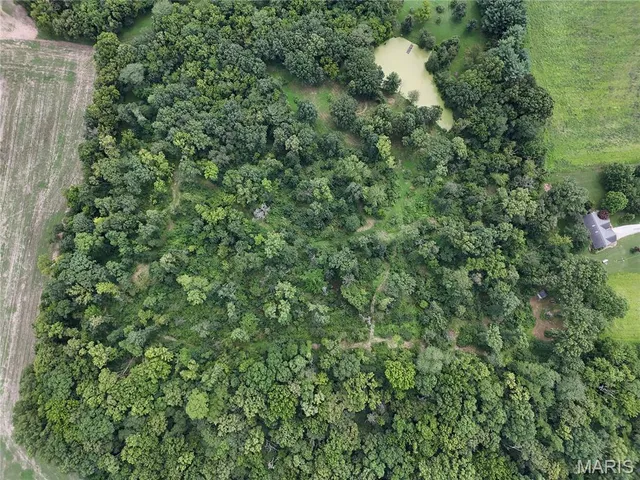 $206,615 | 0 Hug Cemetery Road, Pocahontas, IL 62275