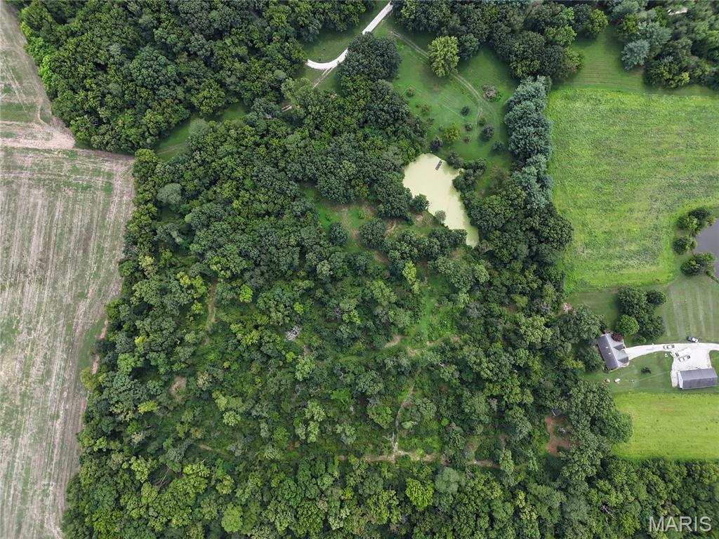 0 Hug Cemetery Road Pocahontas, IL 62275 - Photo 5 of 20