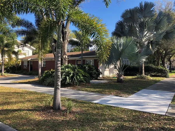 a view of a yard with palm tree