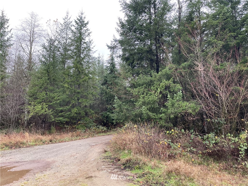 273-xs Old Pipeline Road Monroe, WA 98272 - Photo 4 of 12 Gallery Image 4