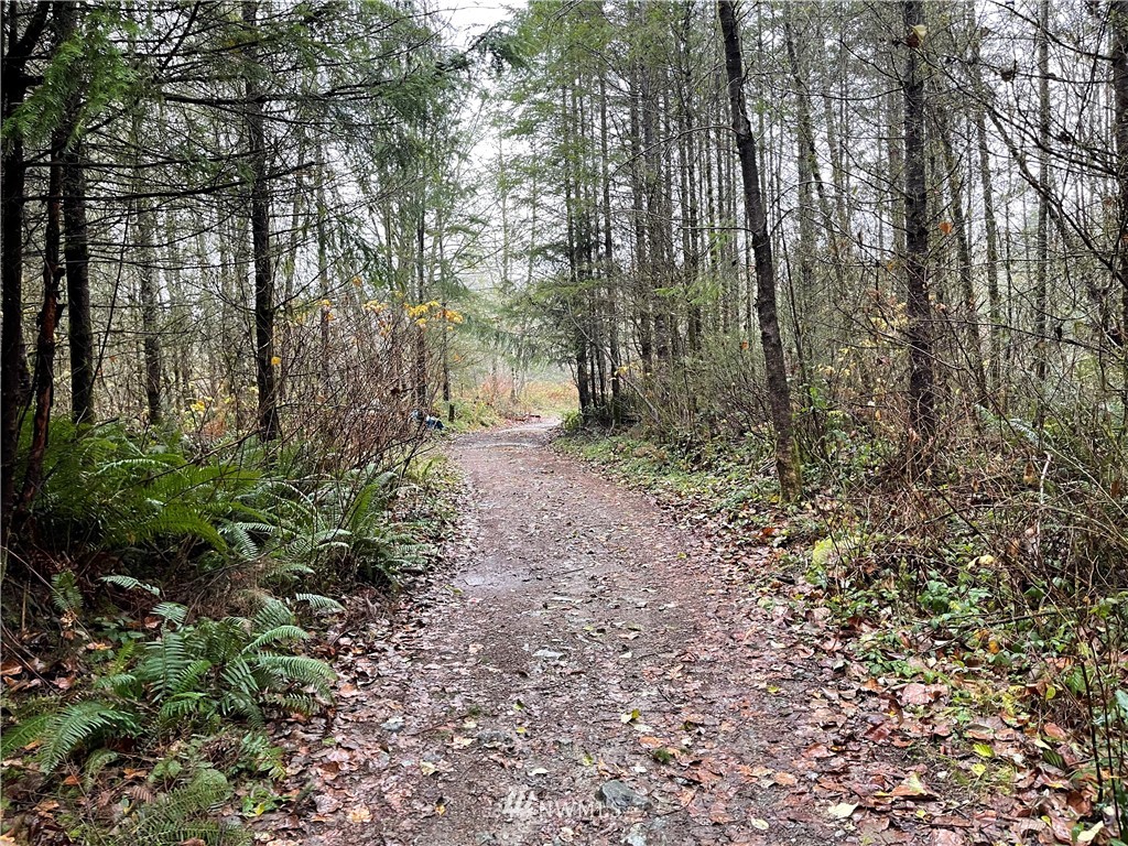 273-xs Old Pipeline Road Monroe, WA 98272 - Photo 5 of 12 Gallery Image 5