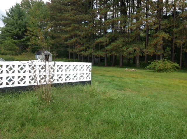 95 Keene Road Winchester, NH 03470 - Photo 13 of 14