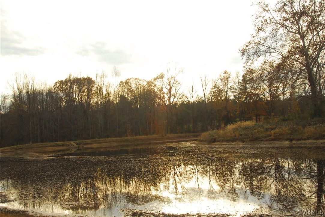 1000 East River Road Fork Union, VA 23055 - Photo 1 of 1 a view of a lake view