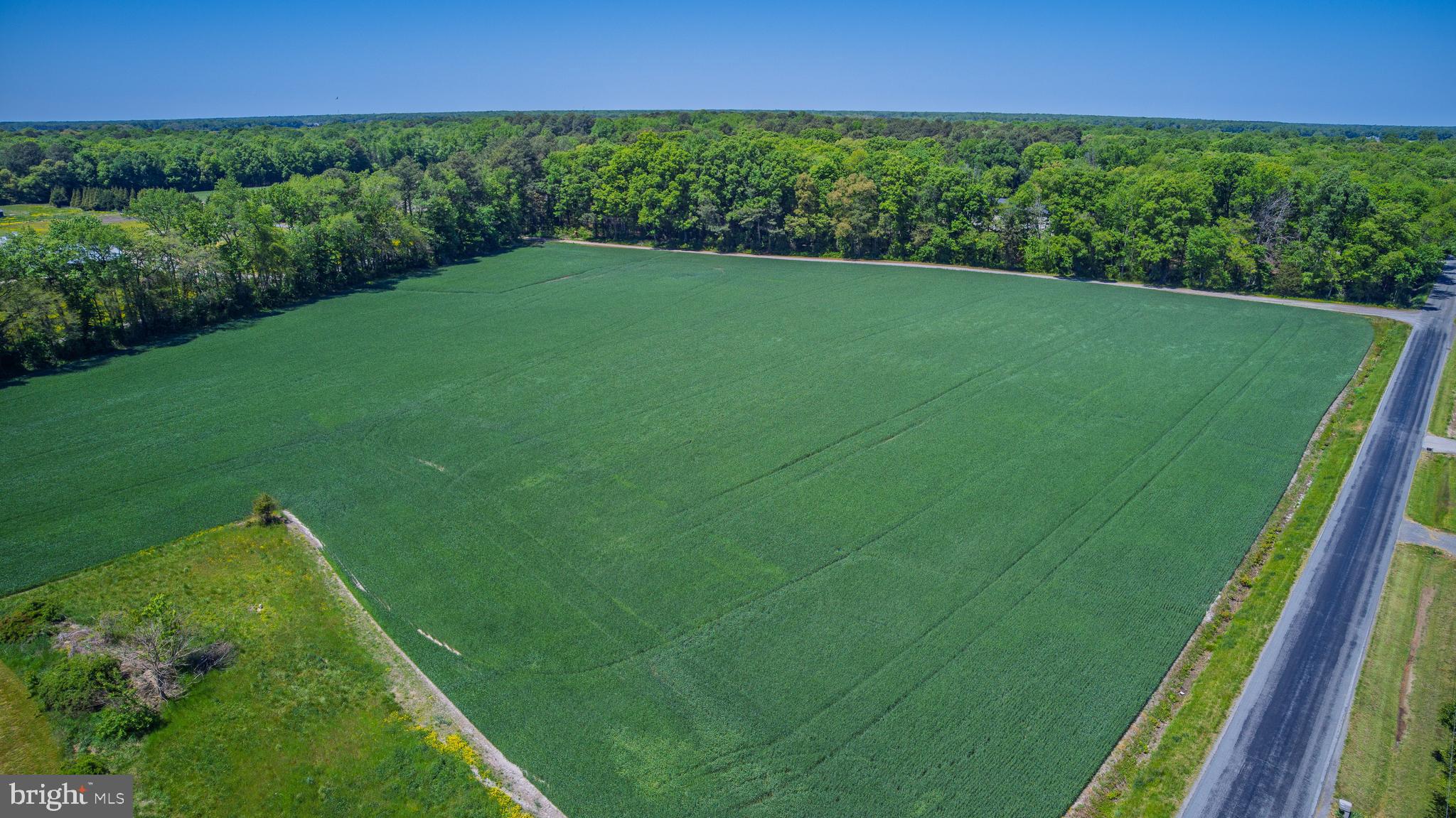 Lot #18 Tower Road Camden Wyoming, DE 19934 - Photo 11 of 16