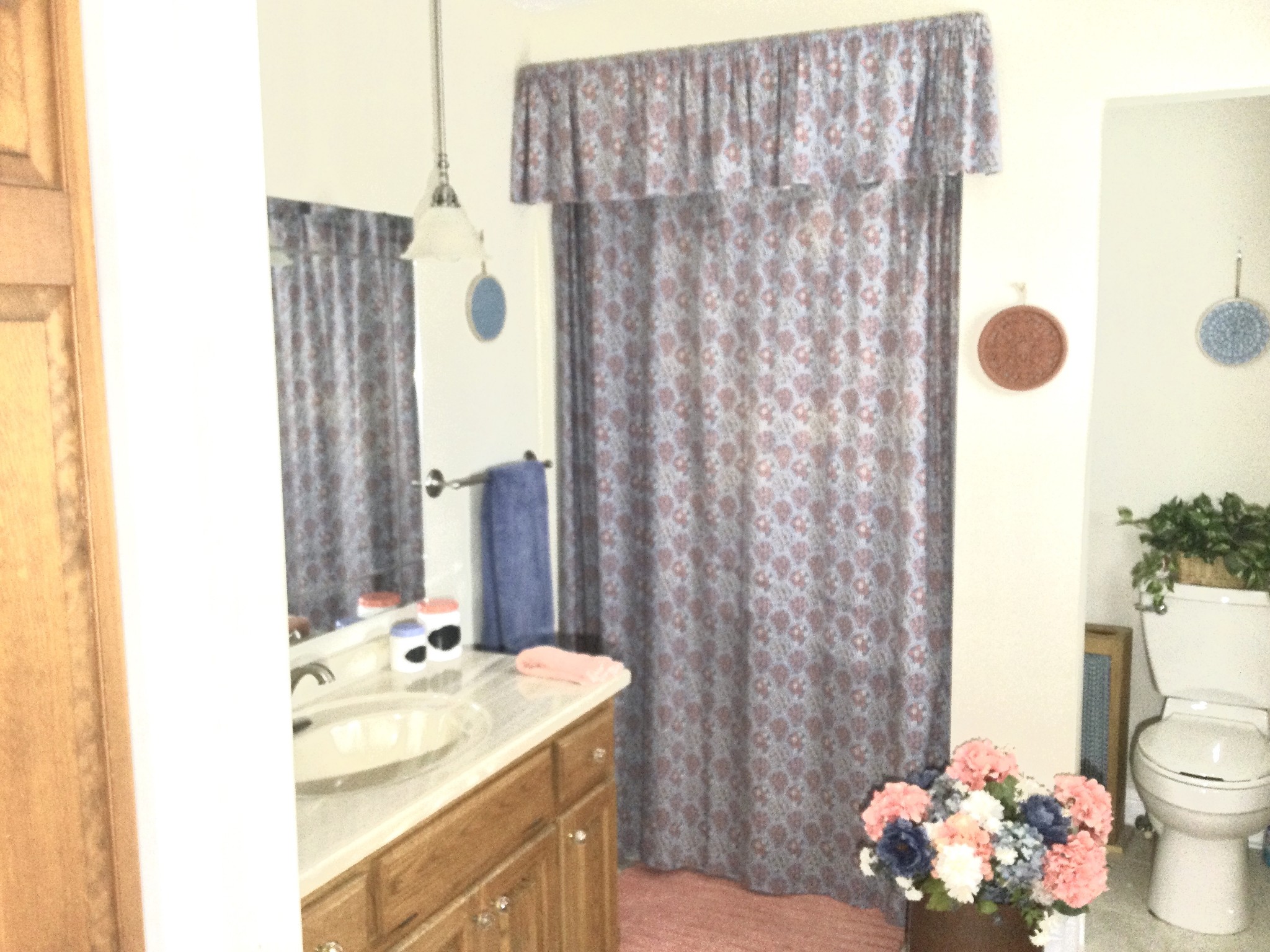 463 Dripping Springs Road Winchester, TN 37398 - Photo 12 of 25 a bathroom with a sink toilet and shower