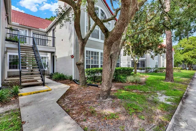 a view of a yard with plants and a large tree