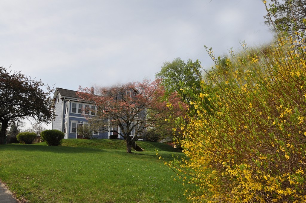21 Oak Street Clinton, MA 01510 - Photo 28 of 29