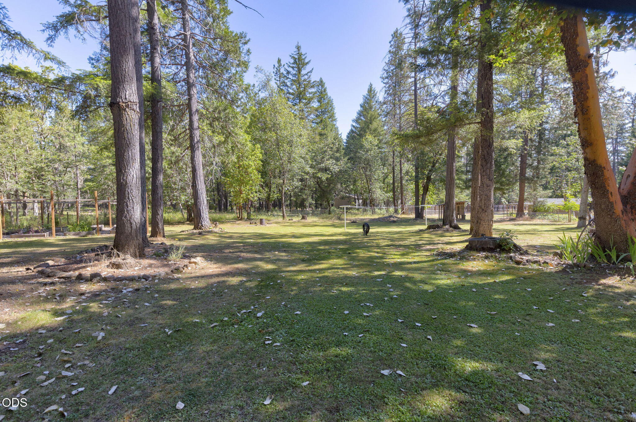 1740 Queens Branch Road Rogue River, OR 97537 - Photo 21 of 63