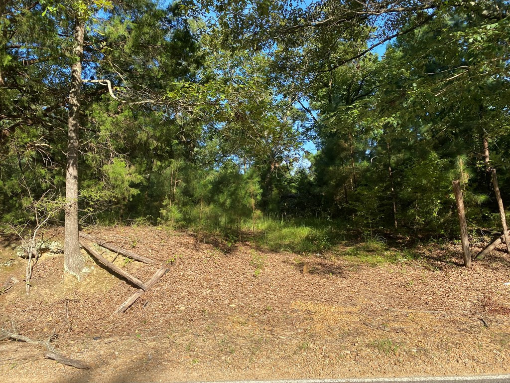 0 Cranfield Road Natchez, MS 39120 - Photo 3 of 3 Photo 3