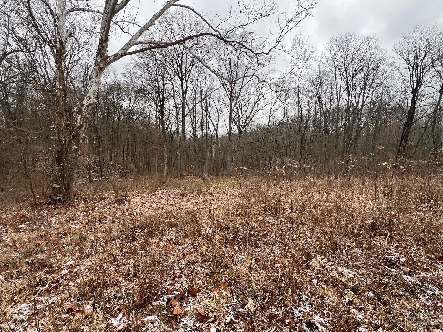 Lot #1 Middleboro Road Clarksville, OH 45113 - Photo 10 of 14