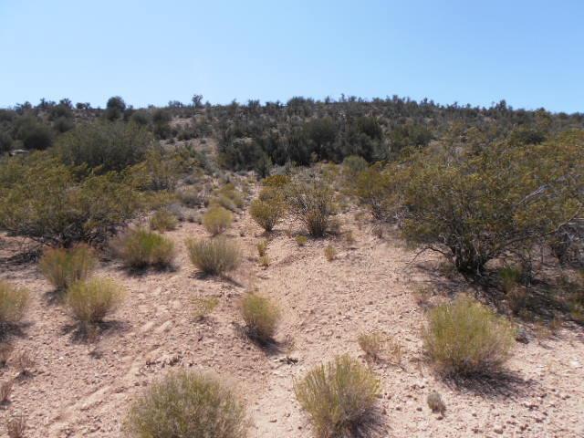 6250 North Canyon Road Rimrock, AZ 86335 - Photo 10 of 16 Additional Photo