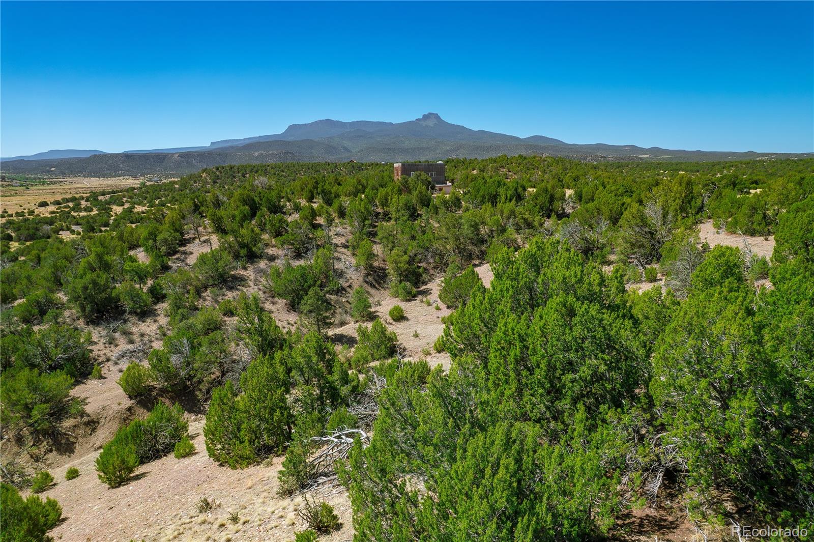37300 Kunzite Road Trinidad, CO 81082 - Photo 1 of 35