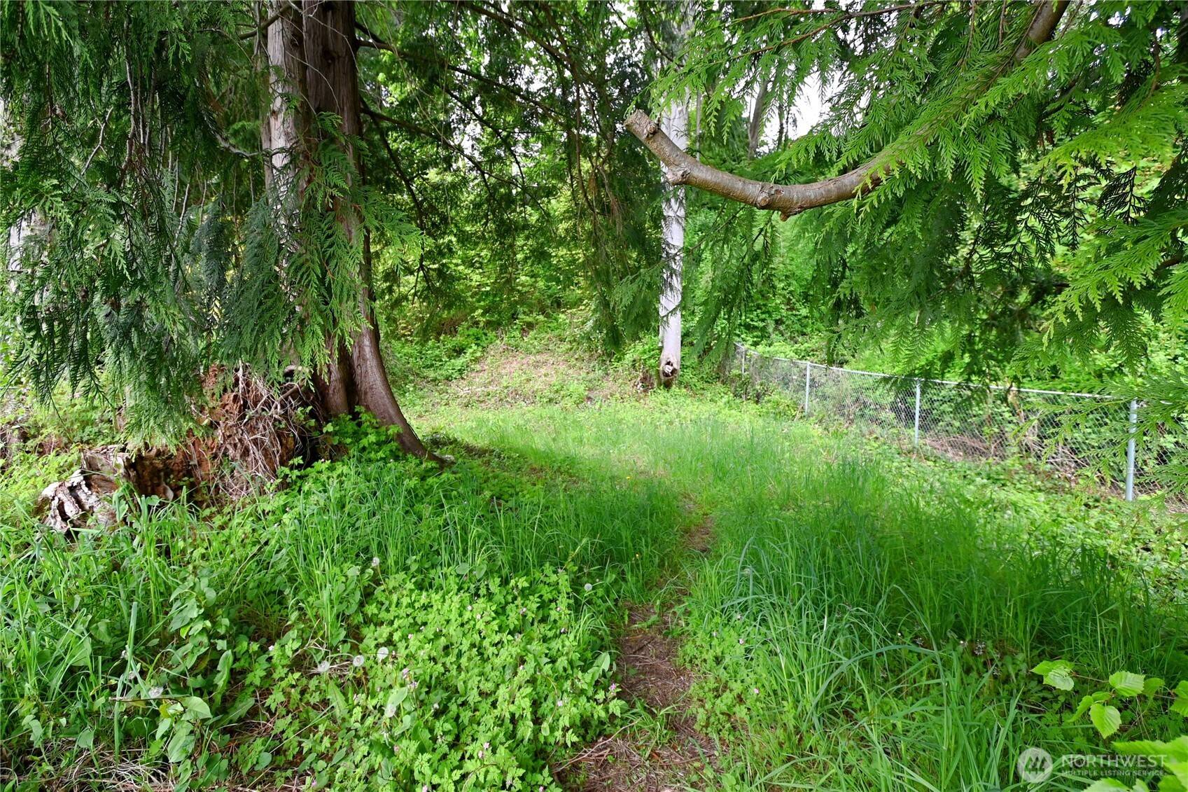 3432 Ruth Road Bellingham, WA 98226 - Photo 18 of 24 Gallery Image 18
