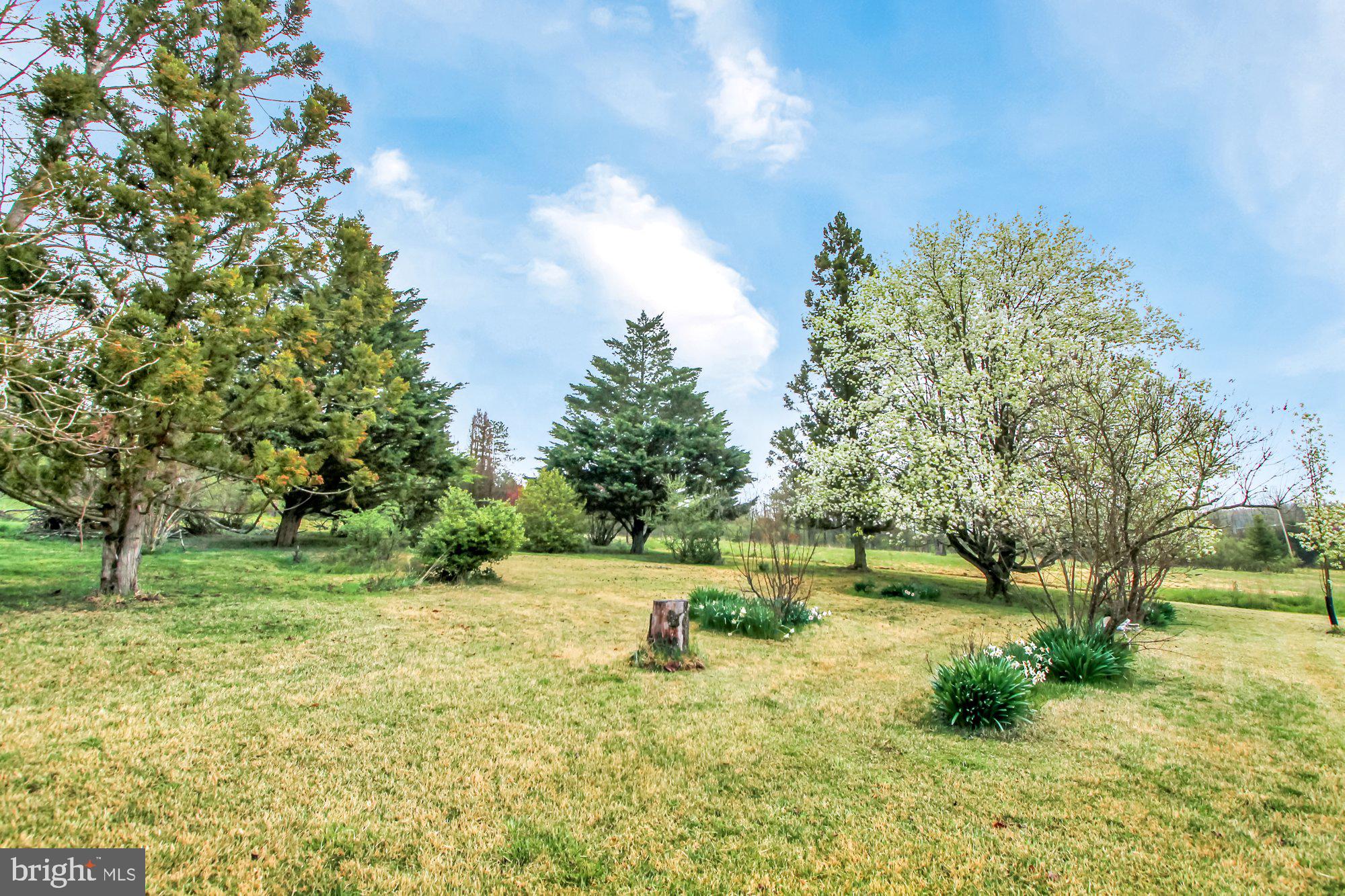 2885 Bullfrog Road Fairfield, PA 17320 - Photo 61 of 67