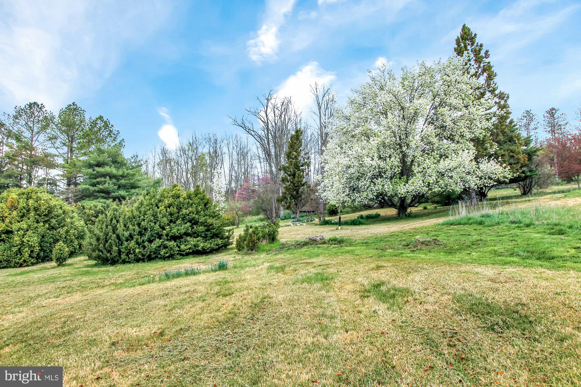 2885 Bullfrog Road Fairfield, PA 17320 - Photo 64 of 67