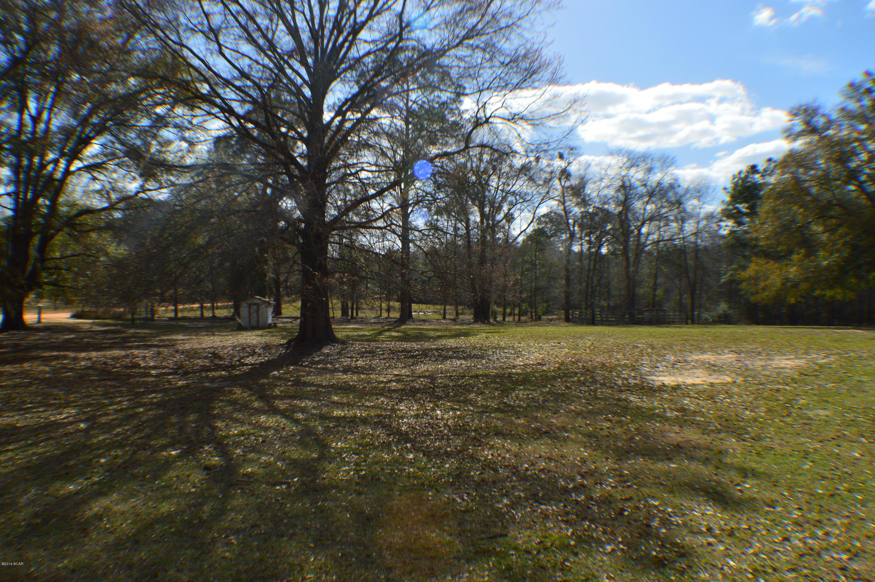 2394 Reedy Creek Road Alford, FL 32420 - Photo 19 of 30 Gallery Image 19
