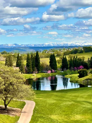 a view of a garden with a bench in a garden