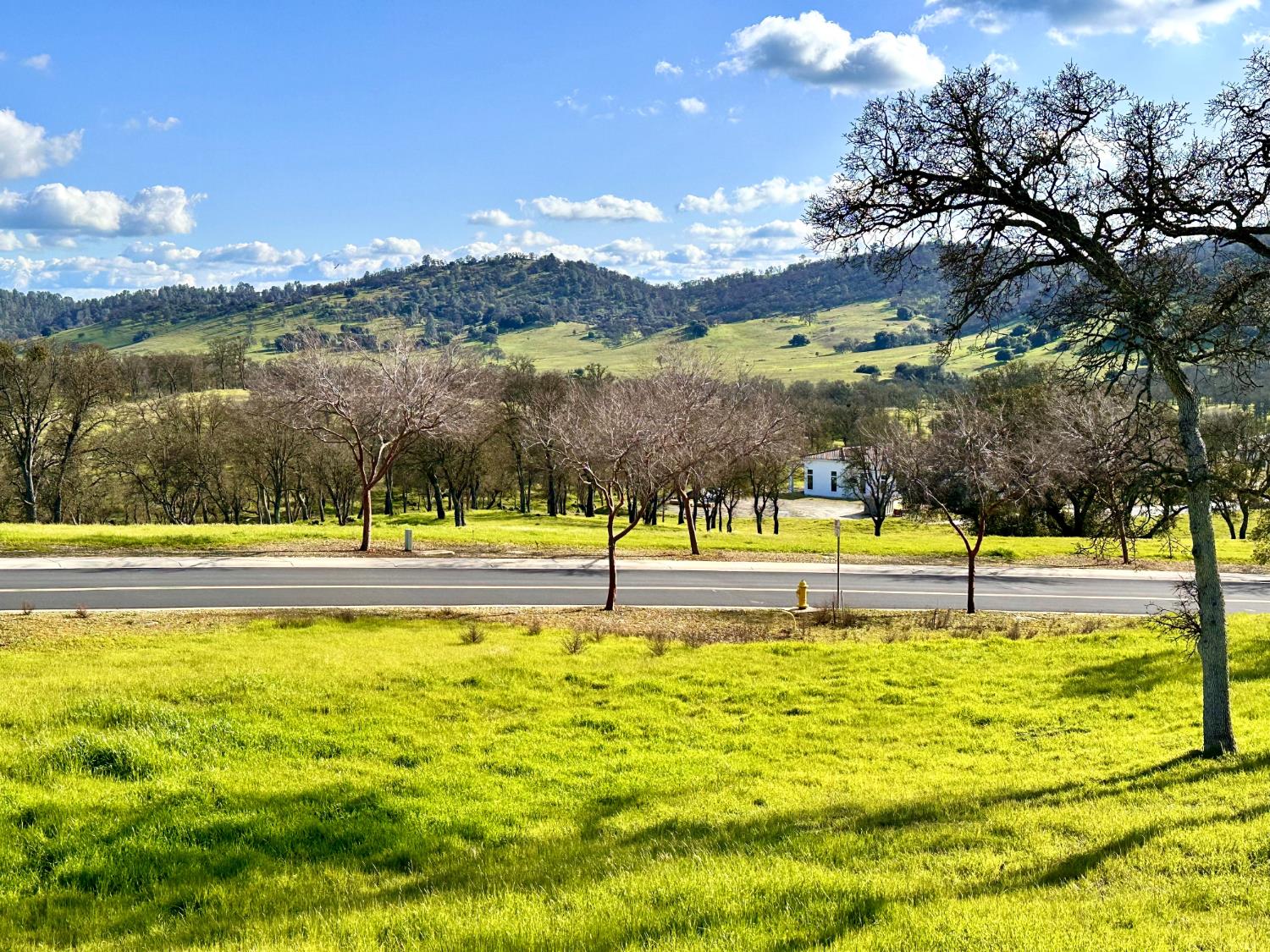 340 Hawk Ridge, Unit 491 Copperopolis, CA 95228 - Photo 2 of 27 a view of lake with trees