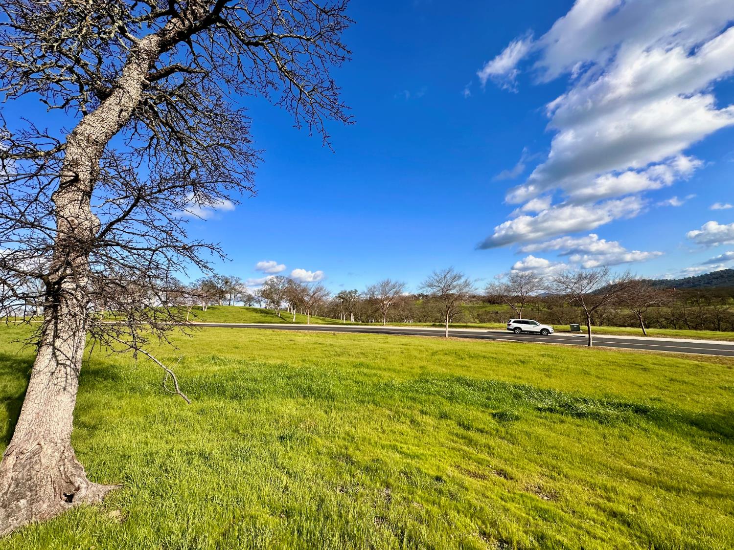 340 Hawk Ridge, Unit 491 Copperopolis, CA 95228 - Photo 4 of 27