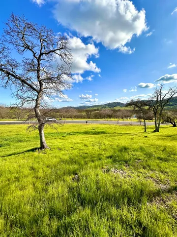 a view of an ocean in a yard