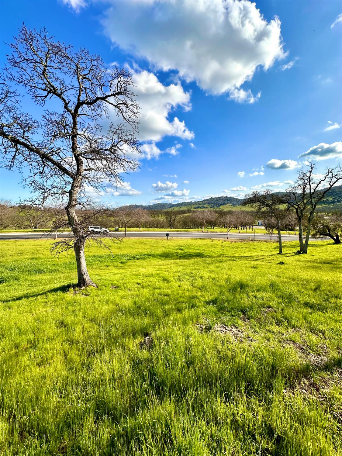 340 Hawk Ridge, Unit 491 Copperopolis, CA 95228 - Photo 8 of 27 a view of an swimming pool with an outdoor space and seating area