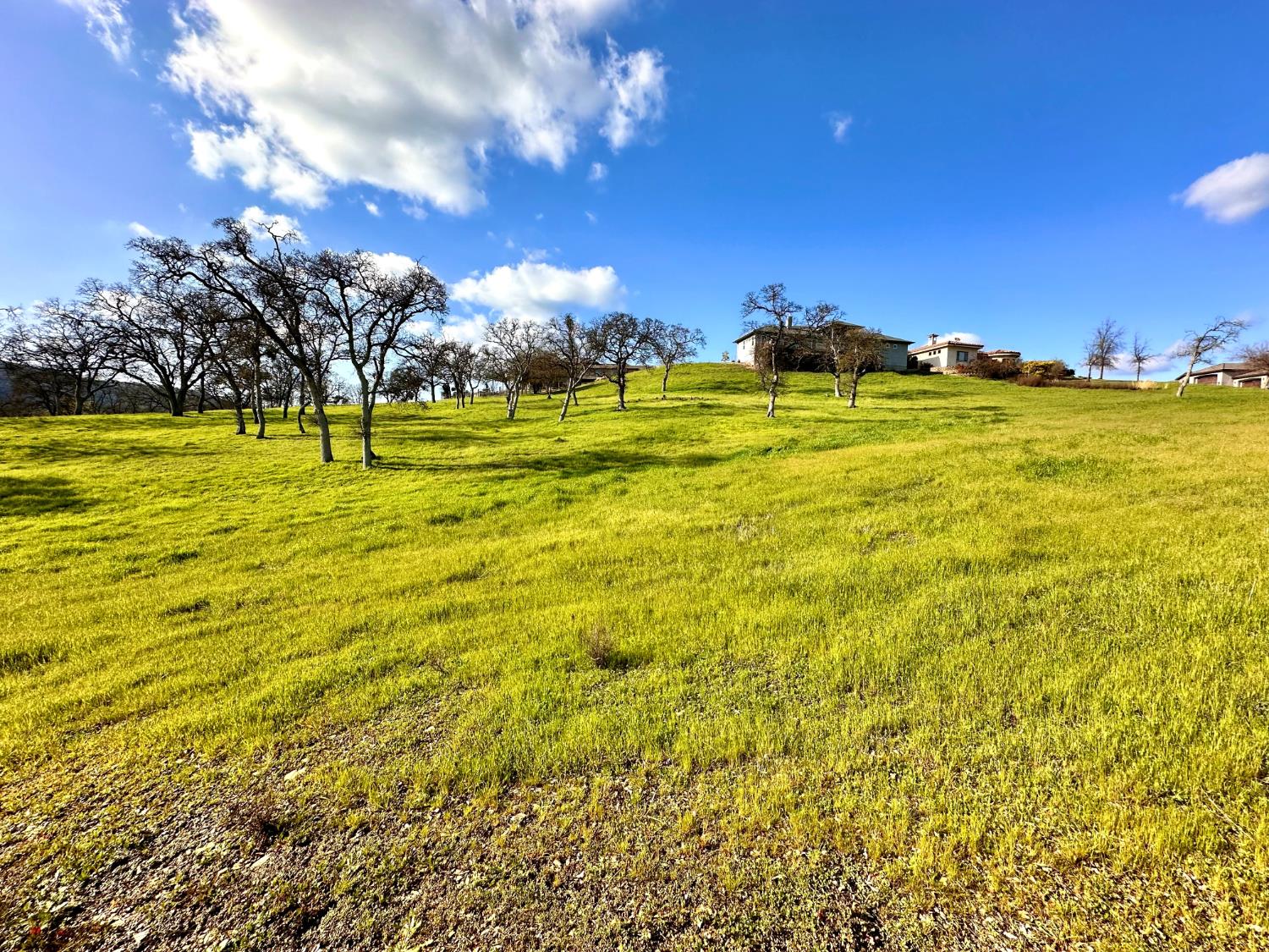 340 Hawk Ridge, Unit 491 Copperopolis, CA 95228 - Photo 9 of 27 a view of an ocean in a yard