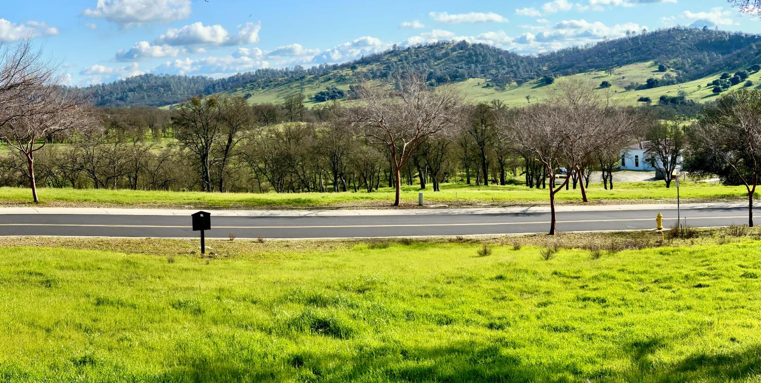 340 Hawk Ridge, Unit 491 Copperopolis, CA 95228 - Photo 10 of 27 a view of a road with a yard