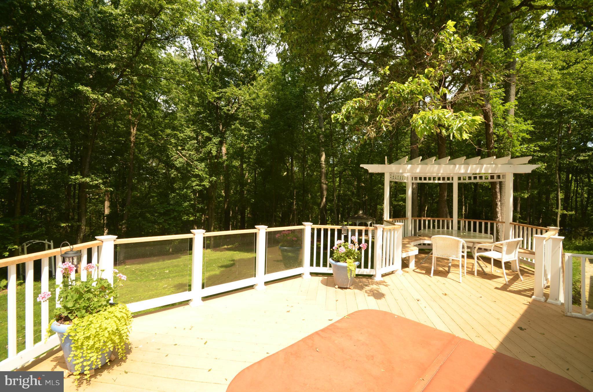 3670 Daisy Road Woodbine, MD 21797 - Photo 11 of 25 Deck