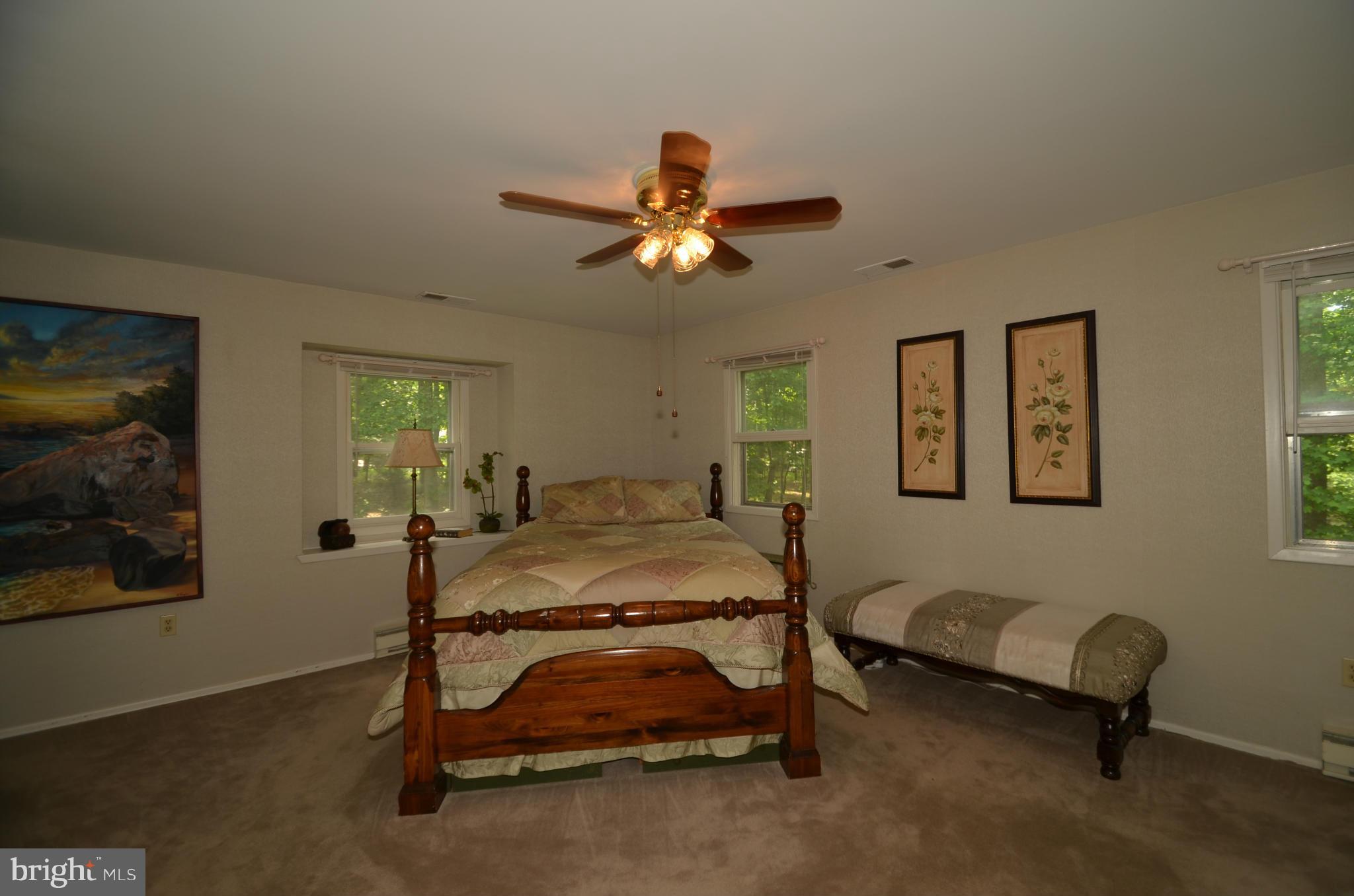 3670 Daisy Road Woodbine, MD 21797 - Photo 13 of 25 Bedroom (Master)