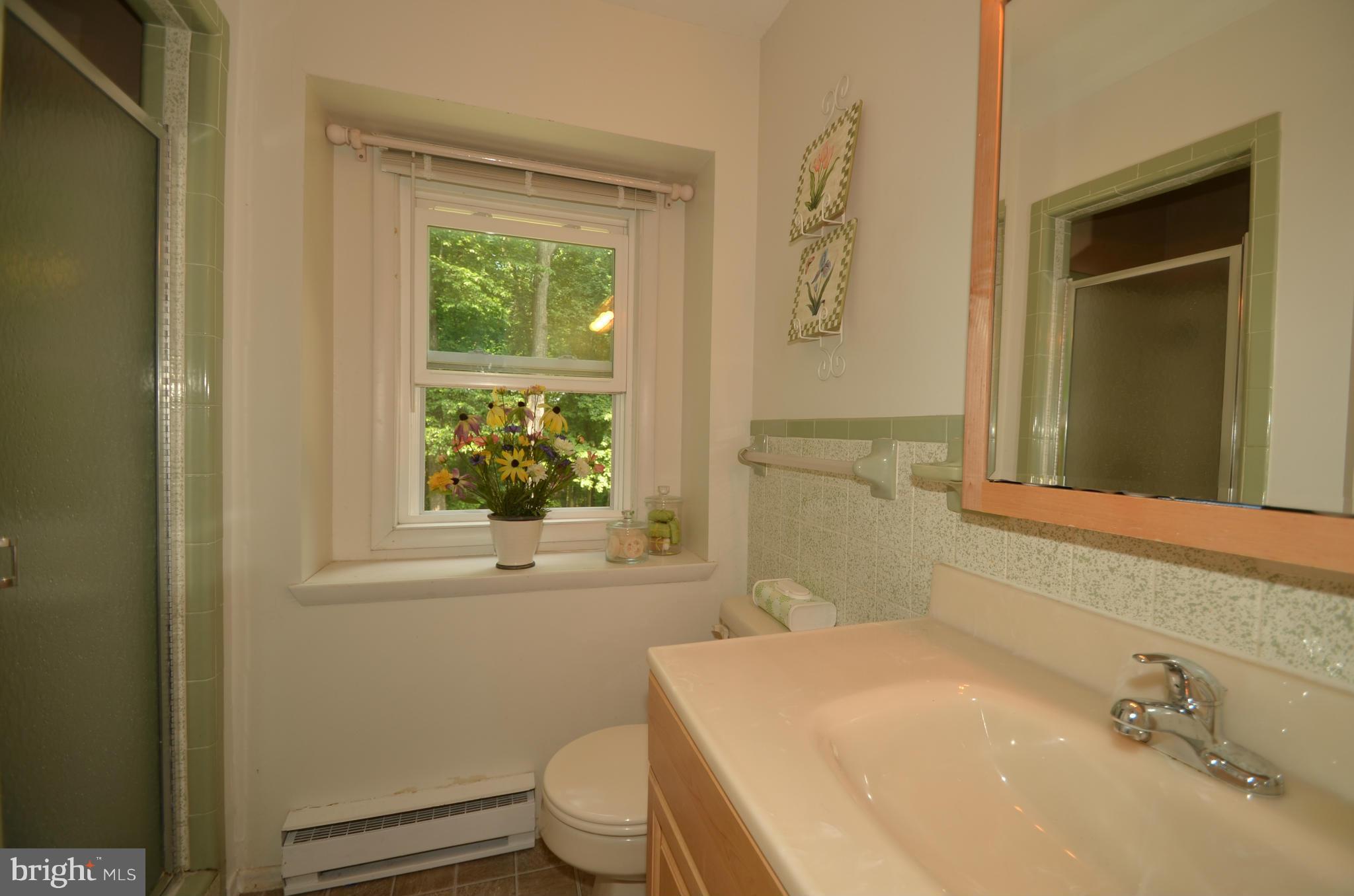 3670 Daisy Road Woodbine, MD 21797 - Photo 17 of 25 Bath