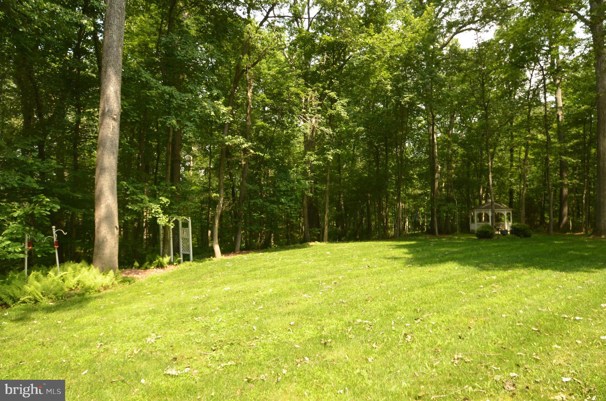 3670 Daisy Road Woodbine, MD 21797 - Photo 25 of 25 View With Gazebo