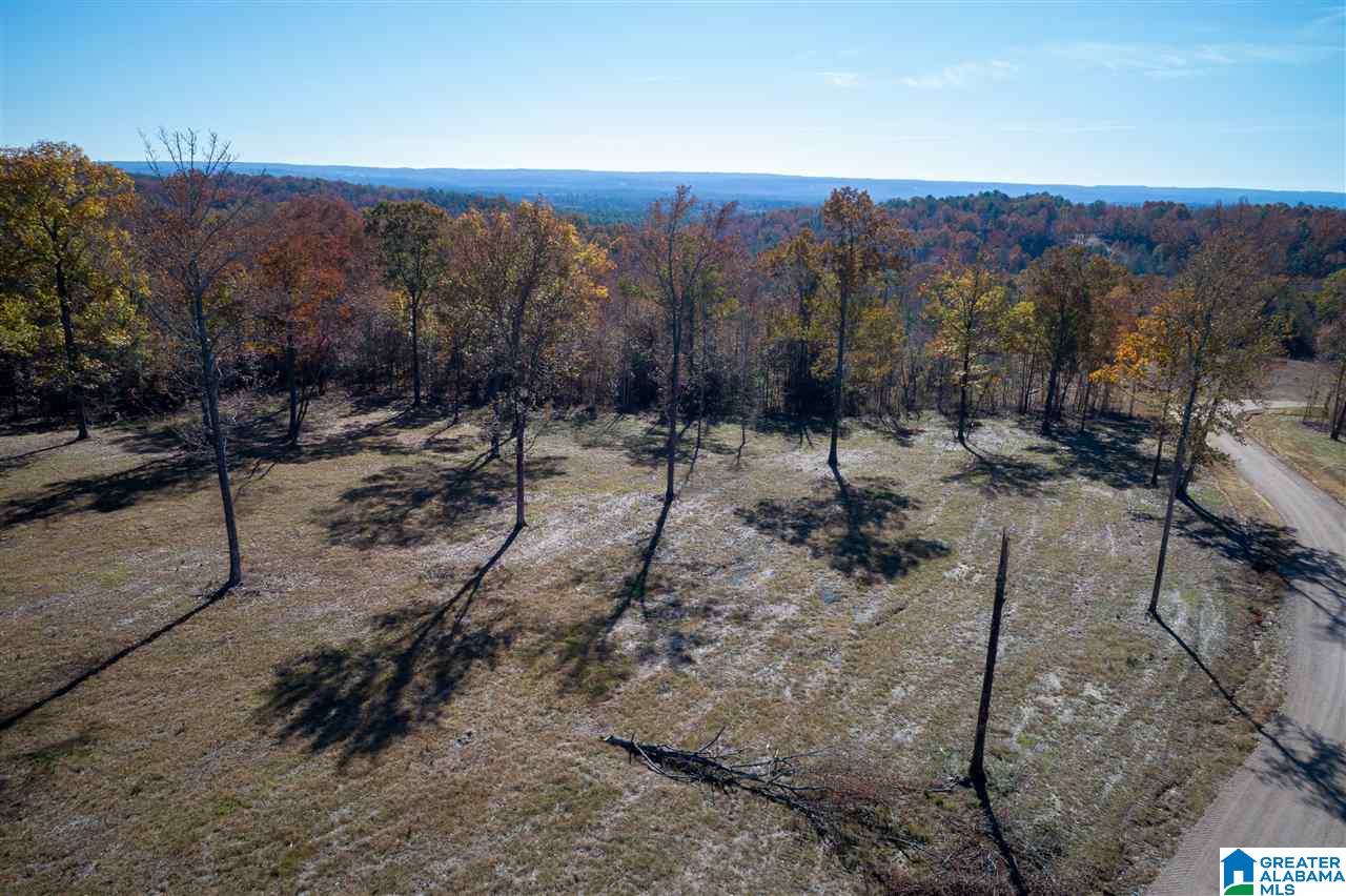 5721 South Shades Crest Road, Unit 1 Helena, AL 35022 - Photo 4 of 9
