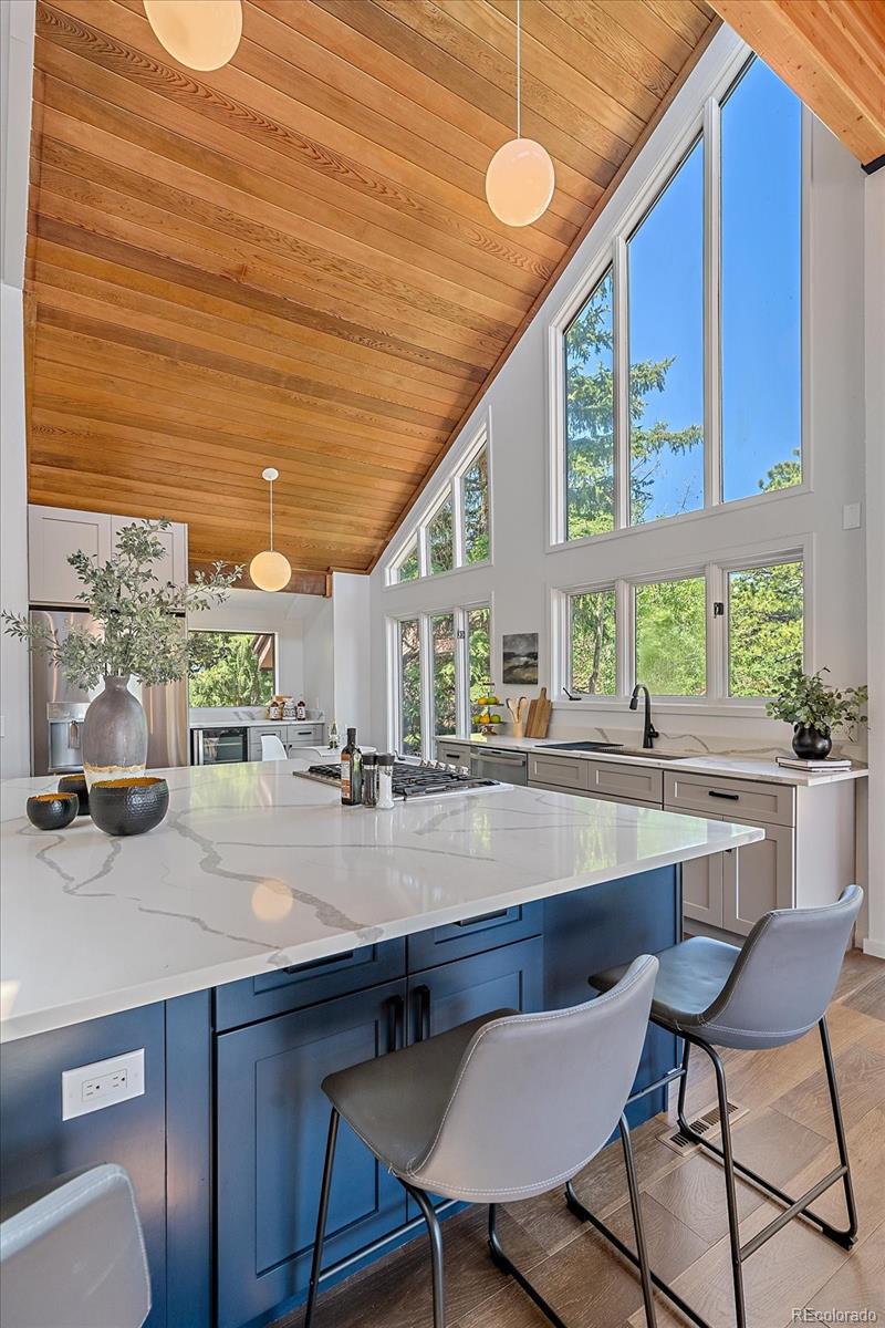 31883 Torrey Pine Circle Evergreen, CO 80439 - Photo 9 of 33