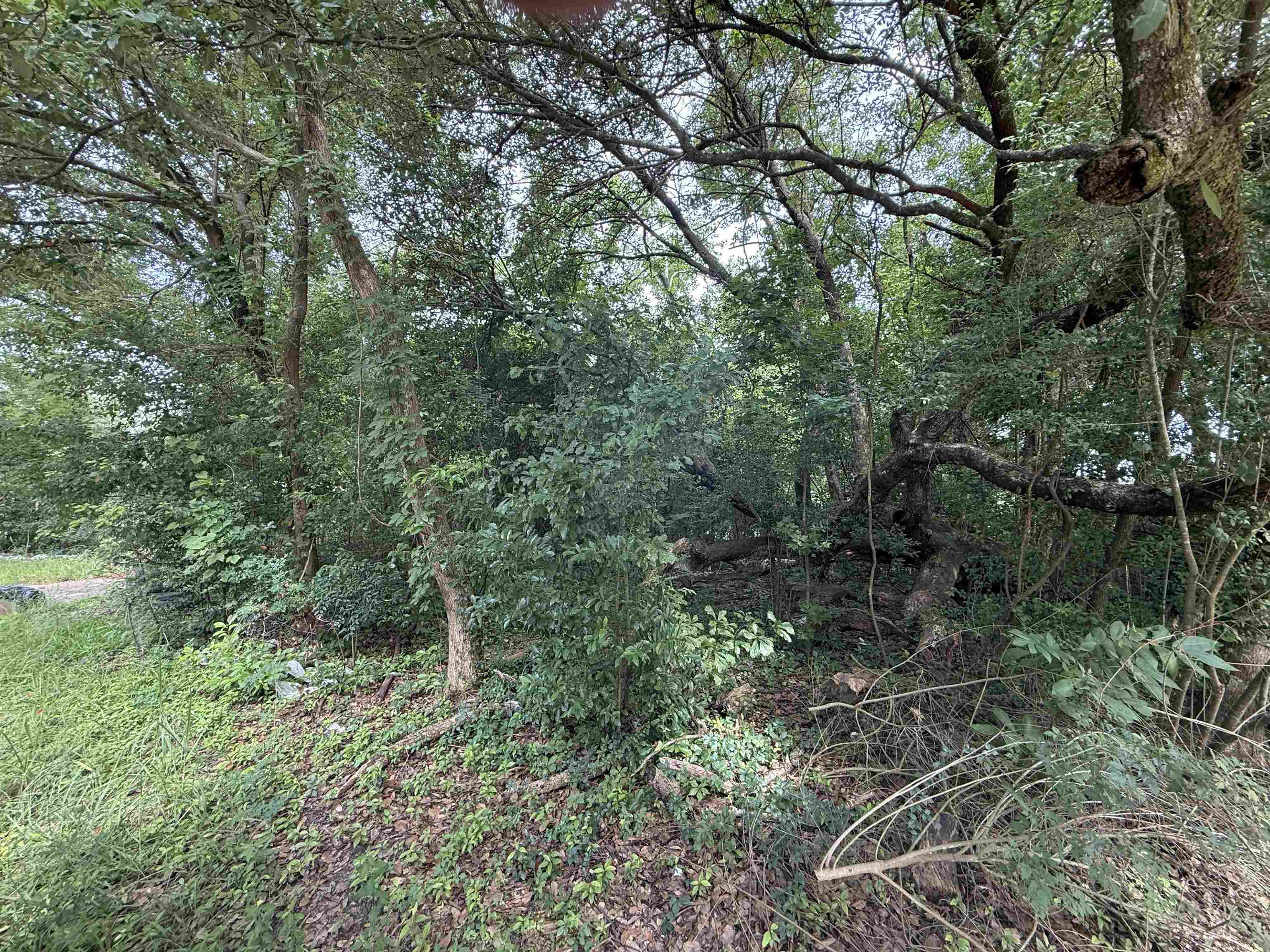 7 Cir R Orange, TX 77630 - Photo 3 of 4