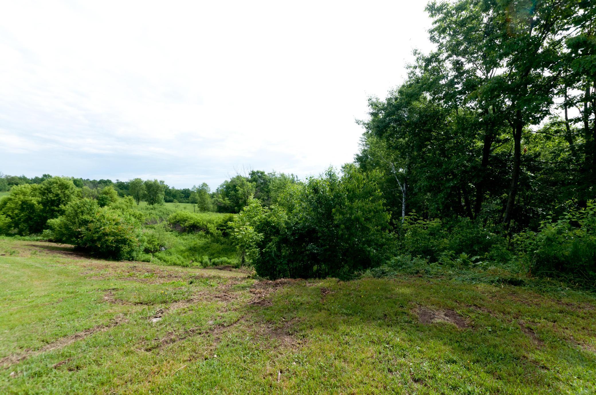 W15991 Random Ridge Road Weyerhaeuser, WI 54895 - Photo 14 of 56