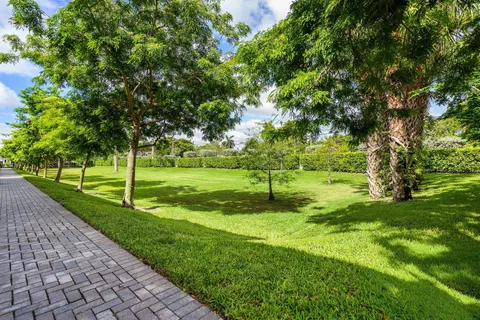 a view of a park with a tree