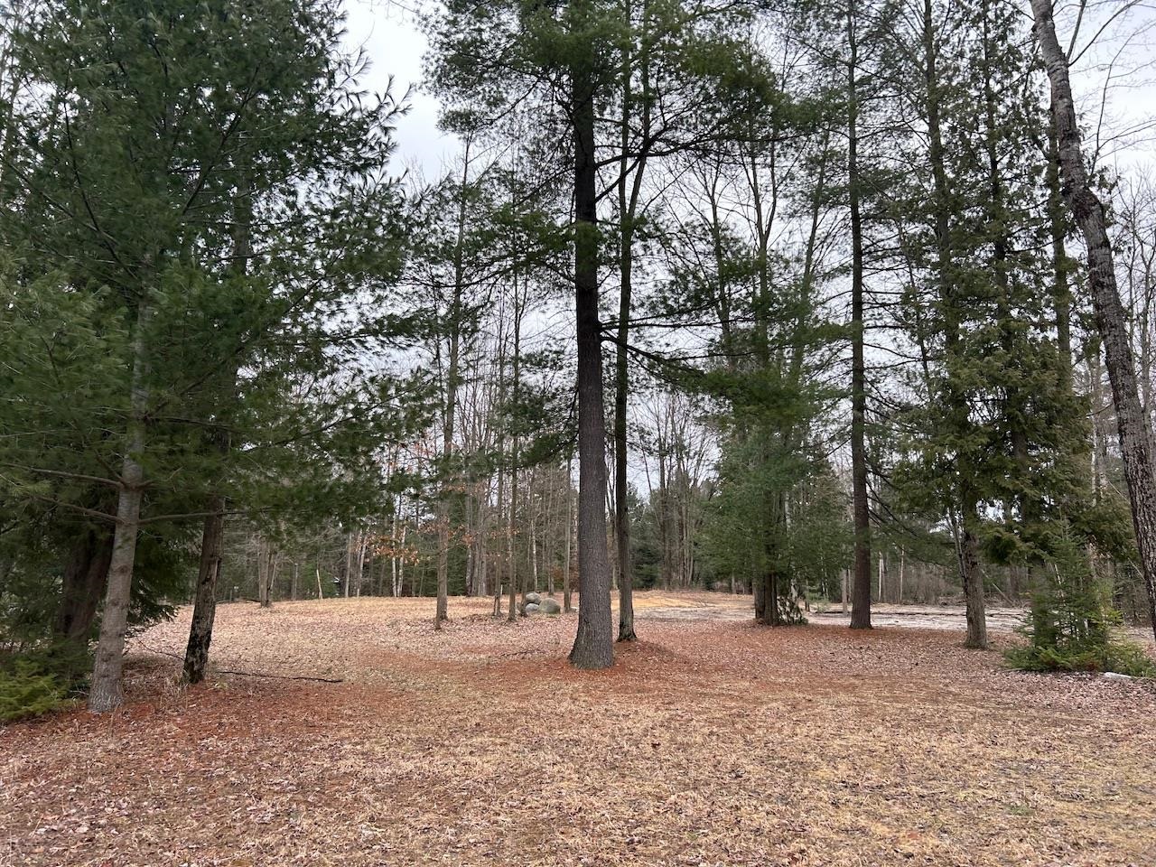 19.2 Acres W M61 Road Gladwin, MI 48624 - Photo 9 of 17
