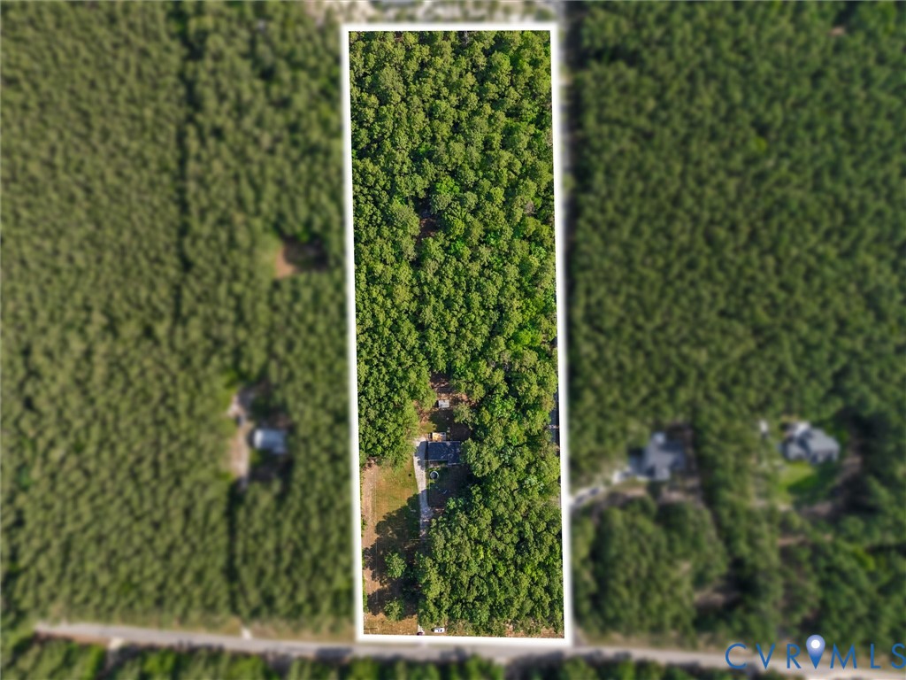 14175 Lebanon Road Disputanta, VA 23842 - Photo 52 of 60 Expansive wooded lot featuring a single dwelling u