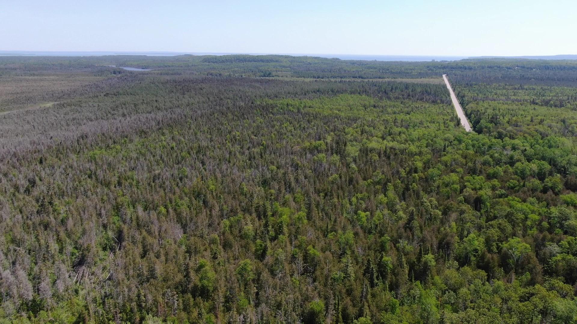 40-ac Cheeseman Road St. Ignace, MI 49781 - Photo 11 of 17 Cheeseman Rd. 40 acres (1)