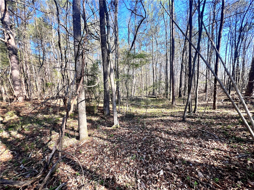900 Simpson Road Belton, SC 29627 - Photo 17 of 20