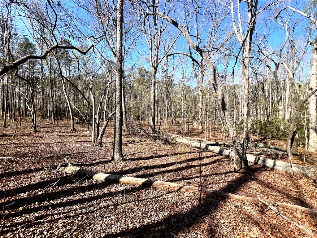 900 Simpson Road Belton, SC 29627 - Photo 19 of 20