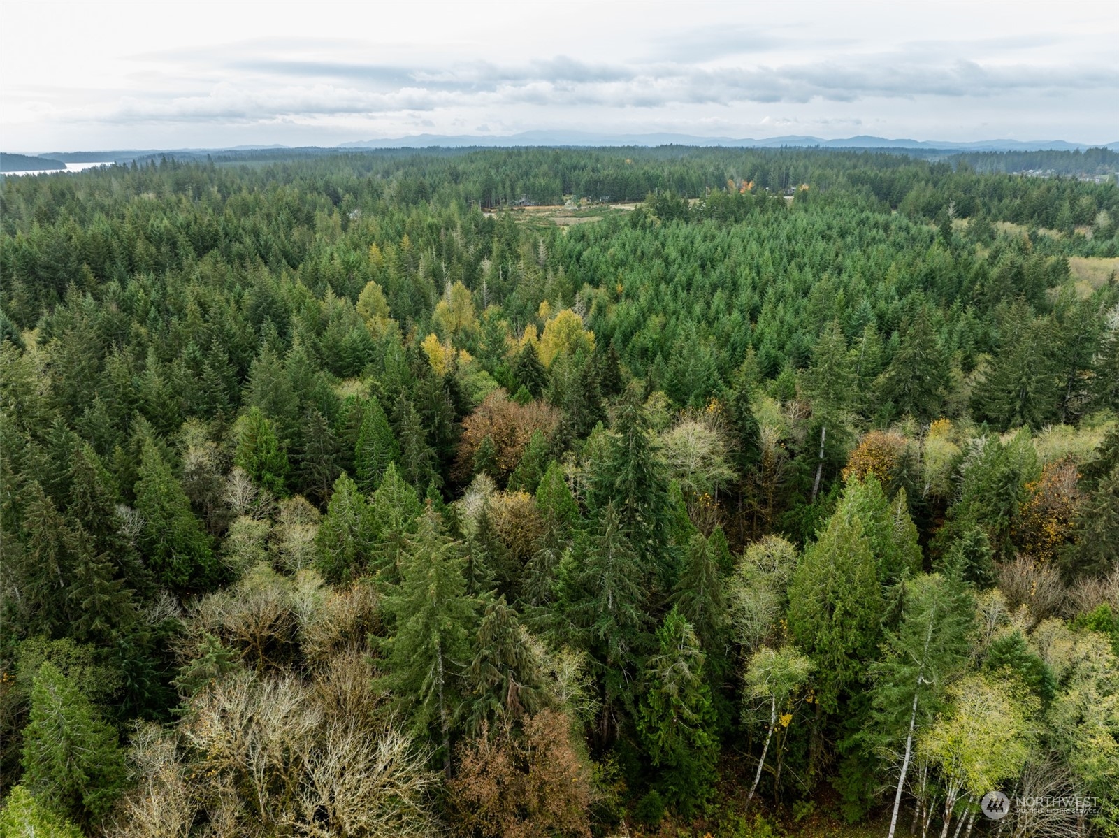 0 East Strong Road, Unit 43 Shelton, WA 98584 - Photo 3 of 9 a view of a green field with lots of bushes