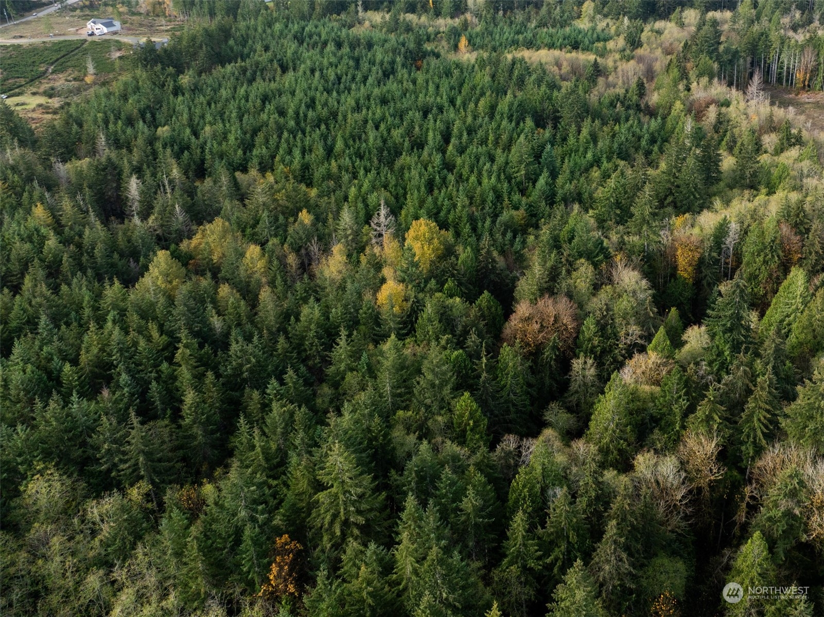 0 East Strong Road, Unit 43 Shelton, WA 98584 - Photo 4 of 9 an aerial view of residential house with outdoor space and trees