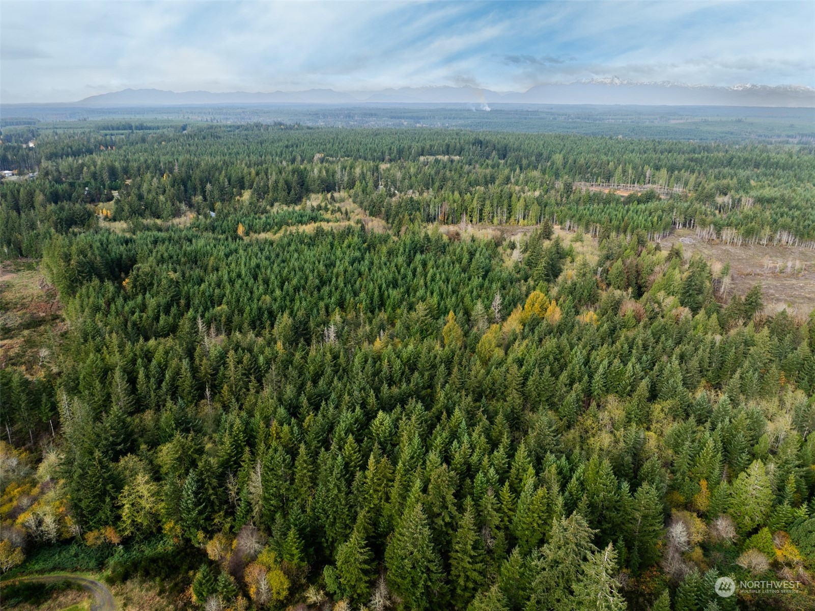 0 East Strong Road, Unit 43 Shelton, WA 98584 - Photo 5 of 9 a view of a green field
