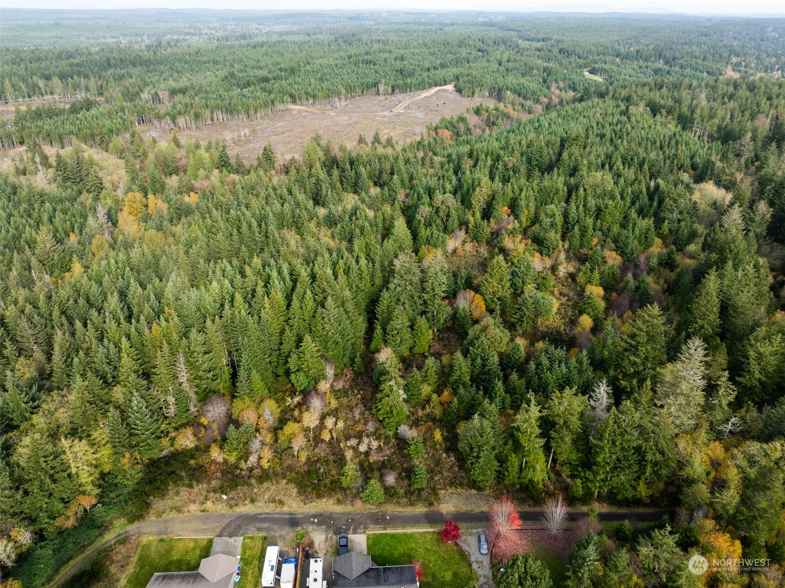 0 East Strong Road, Unit 43 Shelton, WA 98584 - Photo 6 of 9 an aerial view of residential houses with outdoor space and trees
