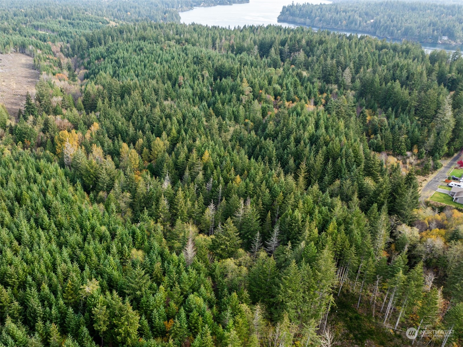 0 East Strong Road, Unit 43 Shelton, WA 98584 - Photo 7 of 9 a view of a lush green forest with lots of trees