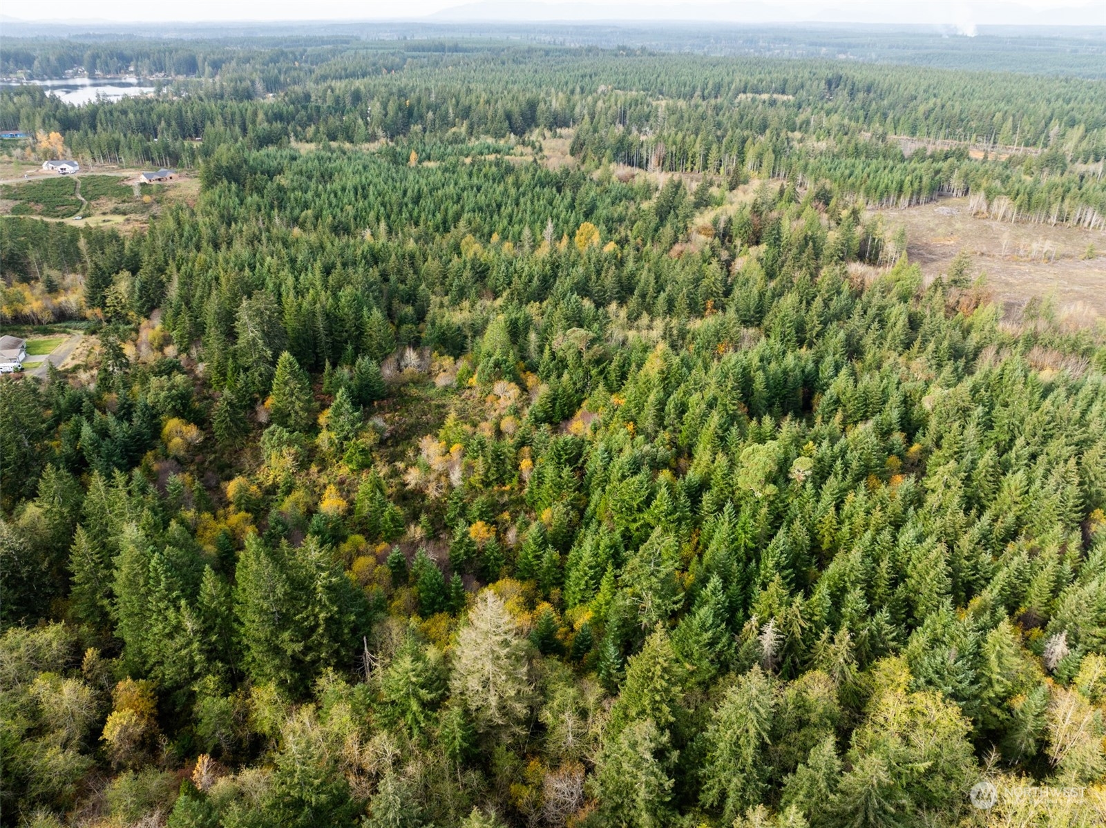 0 East Strong Road, Unit 43 Shelton, WA 98584 - Photo 8 of 9 an aerial view of residential houses with outdoor space and trees