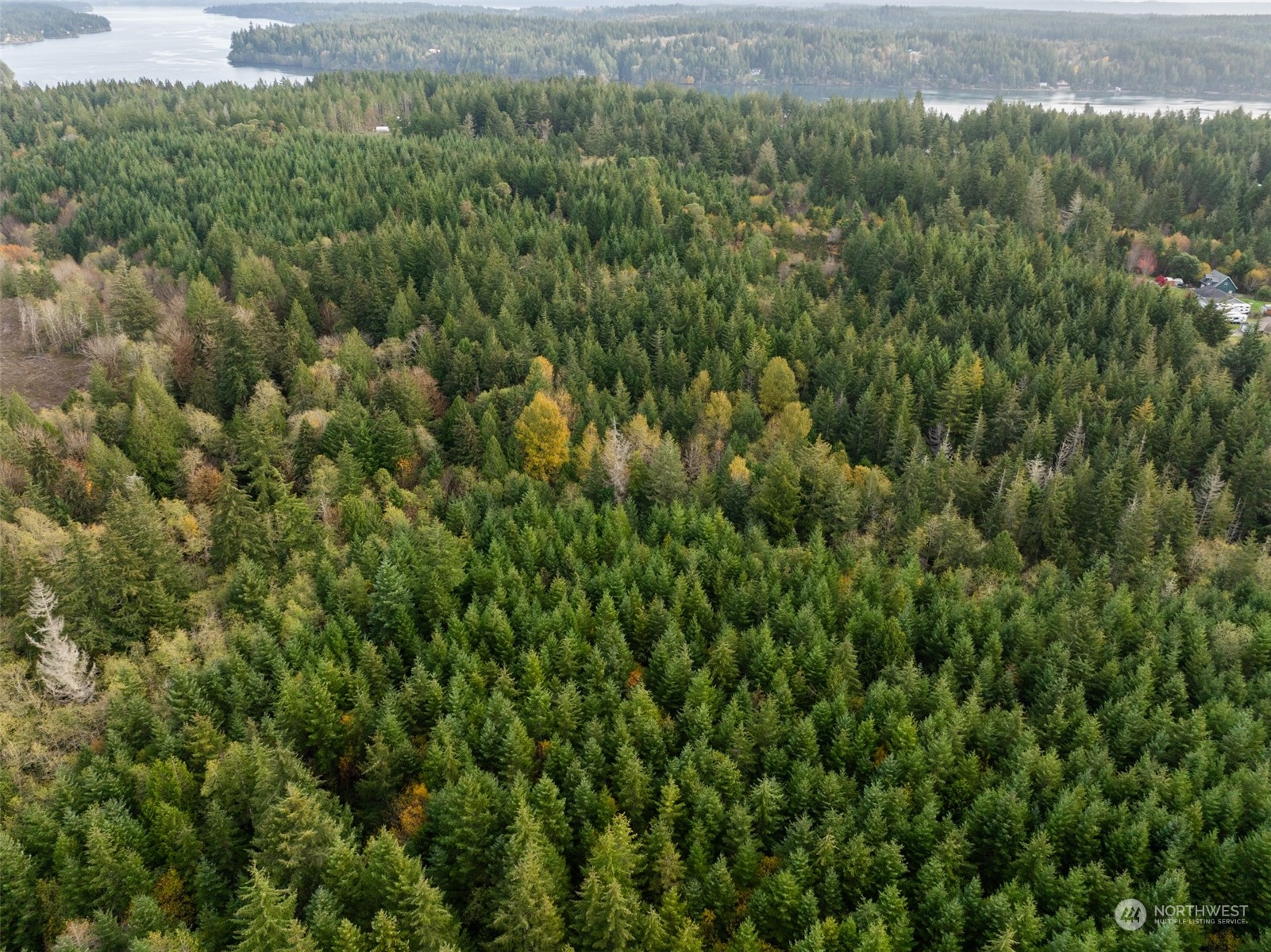 0 East Strong Road, Unit 43 Shelton, WA 98584 - Photo 9 of 9 a view of a lots of trees and bushes